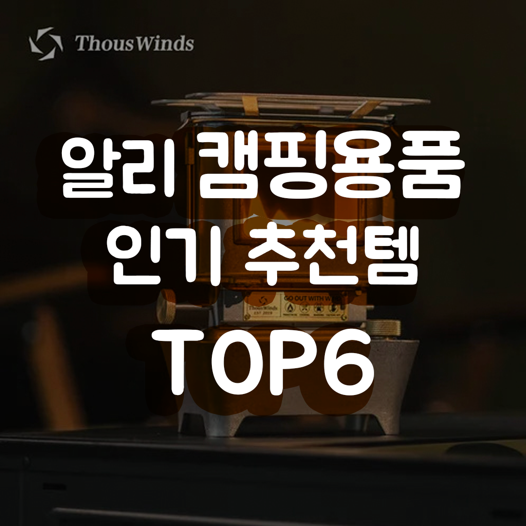 알리 캠핑용품 TOP6